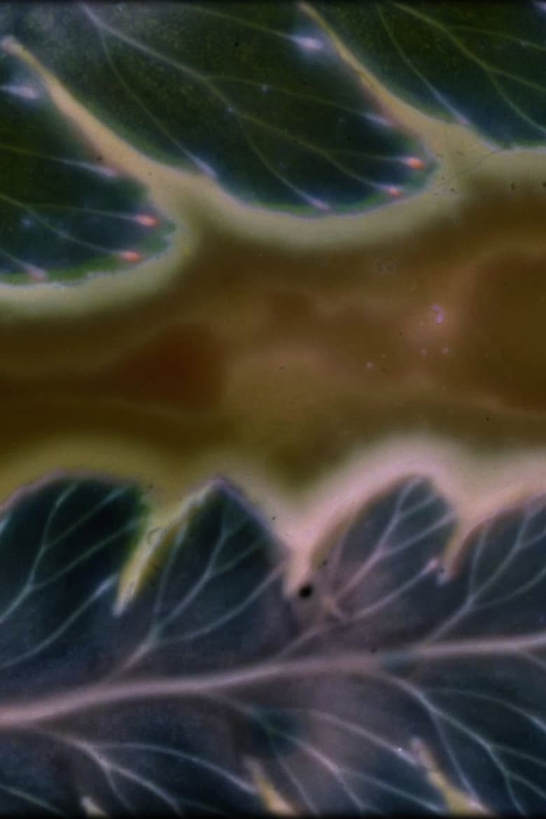 Phytophonics