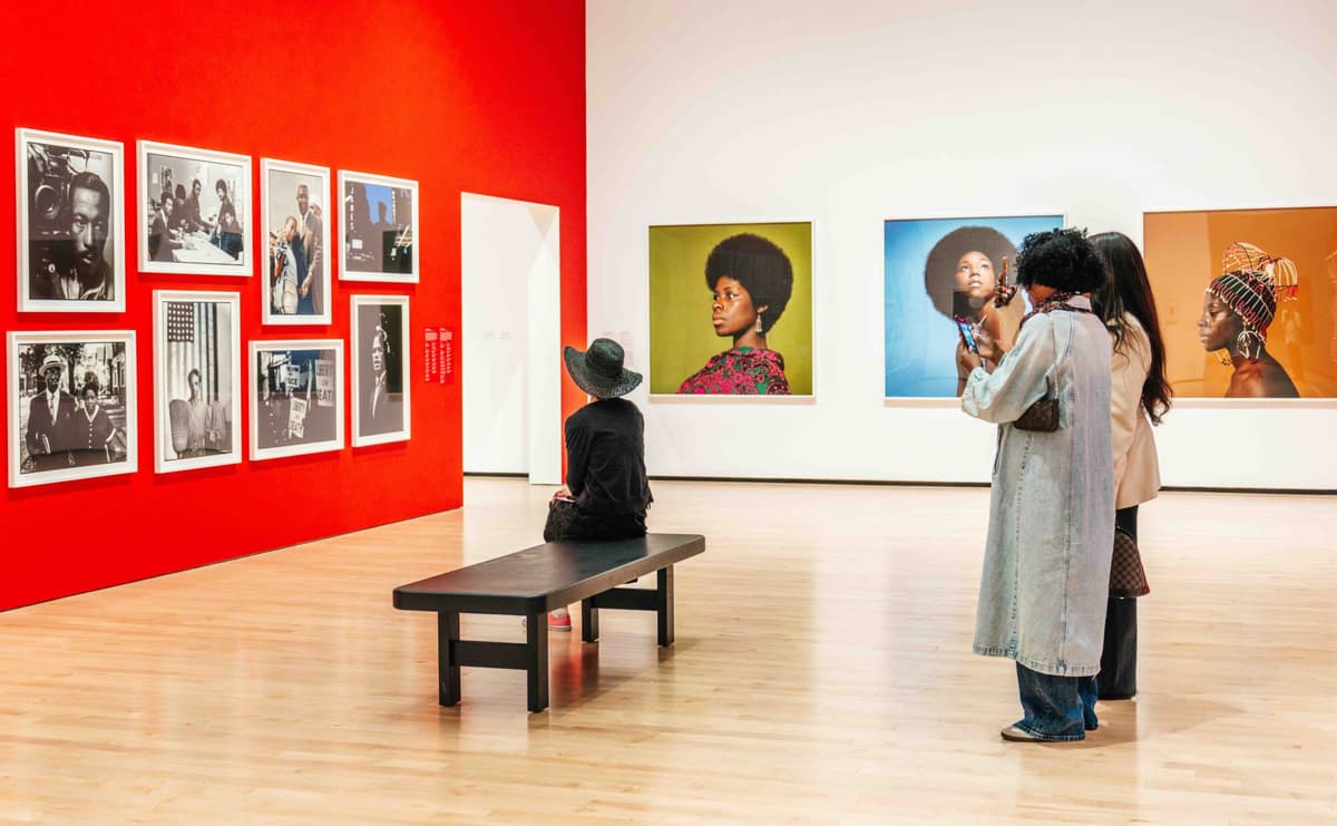Public Tour: Focused Narratives
