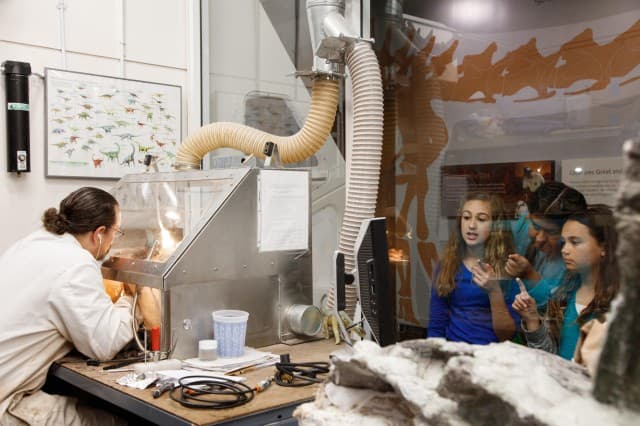 Dino Lab