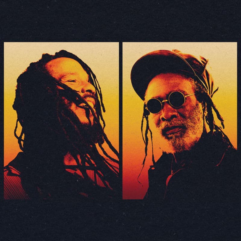 Reggae Night XXIV