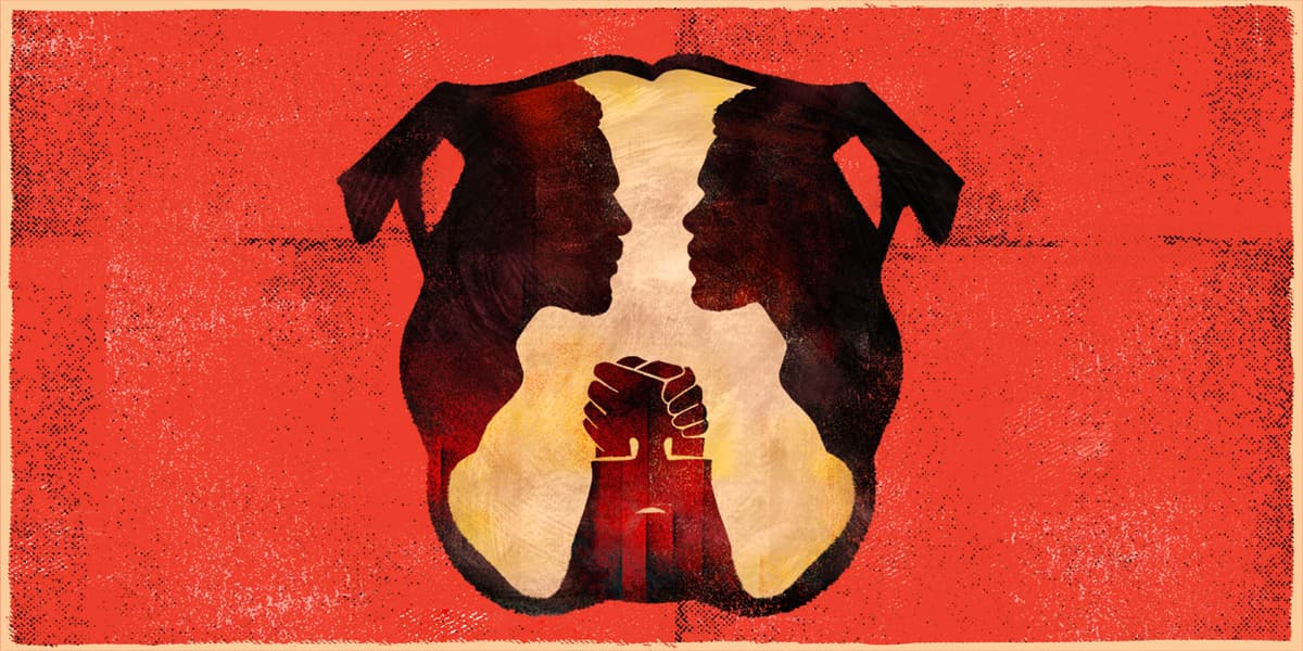 Topdog/Underdog