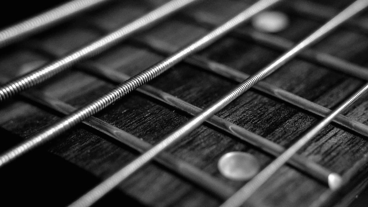 Robert Cray